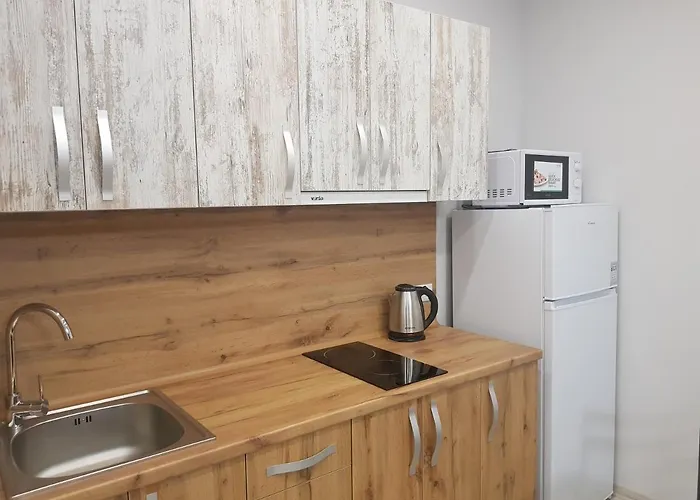 Silver Star 40m Apartamento Uzhhorod